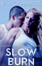 Slow Burn - V.J. Chambers