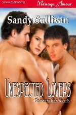 Unexpected Lovers - Sandy Sullivan