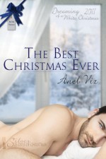 The Best Christmas Ever - Anel Viz