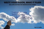 Write Your Vision Make It Plain: Real Law of Attraction Manifestation Stories - A. D. Ruffin