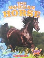 The Morgan Horse - Sara Green