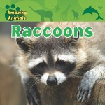 Raccoons - Karen Baicker