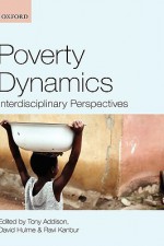 Poverty Dynamics: Interdisciplinary Perspectives - Tony Addison, David Hulme, Ravi Kanbur