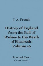 History of England from the Fall of Wolsey to the Death of Elizabeth, Volume 10 (Barnes & Noble Digital Library) - James Anthony Froude