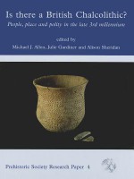 Is There a British Chalcolithic? People, Place and Polity in the Late 3rd Millennium - Michael J. Allen, Julie Gardiner, Alison Sheridan