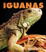 Iguanas - Kathryn Stevens