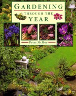 Gardening Through the Year - Peter McHoy, Judith Simons, Michael Shoebridge, Peter Anderson