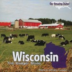 Wisconsin: The Badger State - Marcia Amidon Lusted