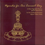 Ngondro for Our Current Day: A Short Ngondro Practice and Its Instructions - Ogyen Trinley Dorje, Tyler Dewar, David Karma Choephel