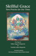 Skillful Grace - Tulku Urgyen, Trulshik Adeu, Marcia Binder Schmidt, Erik Pema Kunsang