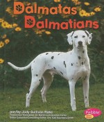 Dalmatas/Dalmatians - Jody Sullivan Rake, Gail Saunders-Smith, Martin Luis Guzman Ferrer