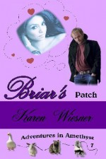 Briar's Patch - Karen Wiesner