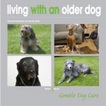 Living With an Older Dog - David Alderton, Derek Hall, David Alderton