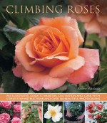 Climbing Roses: An Illustrated Guide to Varieties, Cultivation and Care, with Step-By-Step Instructions and Over 160 Beautiful Photographs - Andrew Mikolajski