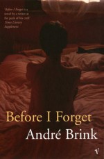 Before I Forget - André Brink