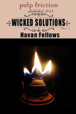 Wicked Solutions - Havan Fellows