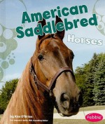 American Saddlebred Horses - Kim O'Brien