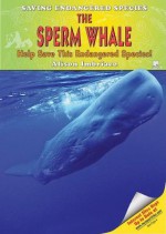 The Sperm Whale: Help Save This Endangered Species! - Alison Imbriaco