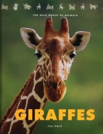 Giraffes - Jill Kalz