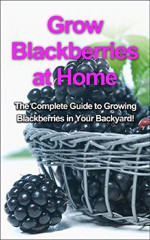 Grow Blackberries at Home: The complete guide to growing blackberries in your backyard! - Steve Ryan