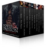 Power and Passion (Bikers, Billionaires & Bad Boys Romance Boxed Set) - Terry Towers, Ashley Rhodes, S. E. Saxton, Stella Noir, Roxy Sinclair, Vivian Cove, Foxy Tale, Michaela Wright, JB Duvane