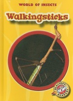 Walkingsticks - Emily K. Green