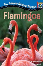 Flamingos - Jean M. Malone