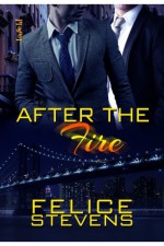 After the Fire (Through Hell and Back #2) - Felice Stevens