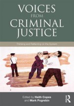 Voices from Criminal Justice: Thinking and Reflecting on the System (Criminology and Justice Studies) - Heith Copes, Mark Pogrebin