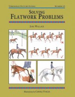 Solving Flatwork Problems - Jane Wallace