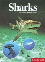 Sharks (A Firefly Guide) - Andrea Ferrari