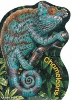 Chameleons (Misunderstood) - Sue Baker, Richard Hatfield