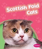 Scottish Fold Cats - Connie Colwell Miller