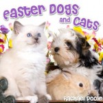 Easter Dogs and Cats - A Picture Easter Book For Children - Rachael Poole