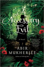 A Necessary Evil - Abir Mukherjee