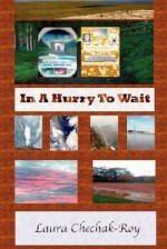 In a Hurry to Wait - Laura Chechak-Roy, Subir Roy