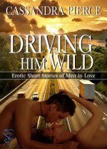 Driving Him Wild - Cassandra Pierce