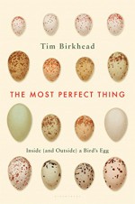 The Most Perfect Thing: Inside (and Outside) a Bird's Egg - Tim Birkhead