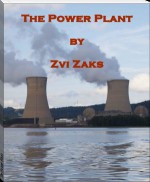 The Power Plant - Zvi Zaks