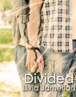 Divided - Livia Jamerlan