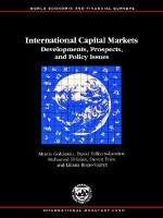 International Capital Markets: Developments, Prospects, and Policy Issues - Morris Goldstien, David Folkers-Landau, Mohamed El-Erian, Steve Fries, Liliana Rojas-Suarez