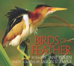 Birds of a Feather - Jane Yolen, Jason Stemple