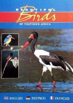 Beautiful Birds Of Southern Africa - Phil Hockey, Pippa Parker