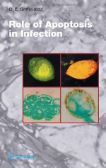 Role of Apoptosis in Infection: 289 (Current Topics in Microbiology and Immunology) - Diane E. Griffin