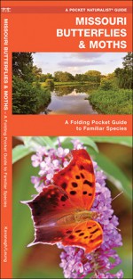 Missouri Butterflies & Moths: A Folding Pocket Guide to Familiar Species - James Kavanagh, James Kavanagh, Raymond Leung