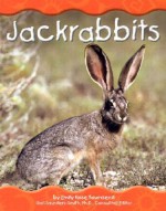 Jackrabbits - Emily Rose Townsend