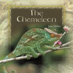 Chameleon - Marie Miller