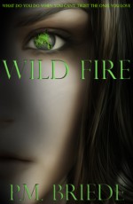 Wild Fire - P.M. Briede