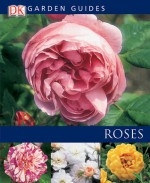 Roses - Richard Rosenfeld