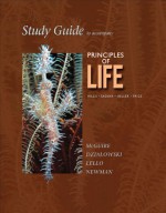 Study Guide to Accompany Principles of Life - Betty McGuire, Edward Dzialowski, Denise Lello